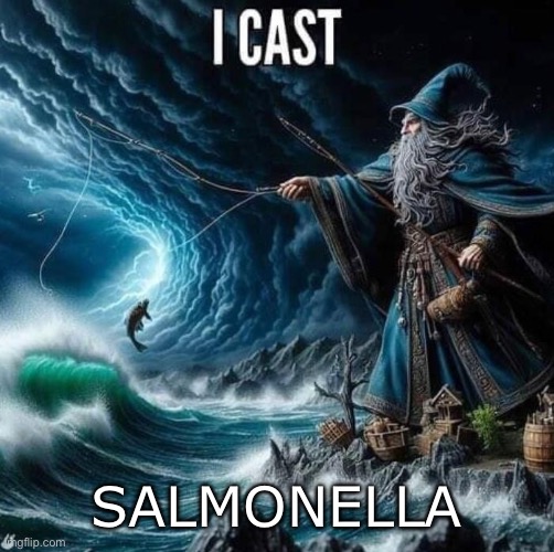 *Recorder version of Harry Potter* | SALMONELLA | image tagged in i cast | made w/ Imgflip meme maker