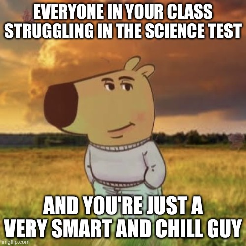 The science test but you're chill and smart. | EVERYONE IN YOUR CLASS STRUGGLING IN THE SCIENCE TEST; AND YOU'RE JUST A VERY SMART AND CHILL GUY | image tagged in chill guy,smart,chill,test | made w/ Imgflip meme maker