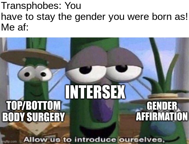 *Laughs in biologist" | Transphobes: You have to stay the gender you were born as!
Me af:; INTERSEX; GENDER AFFIRMATION; TOP/BOTTOM BODY SURGERY | image tagged in veggietales 'allow us to introduce ourselfs',lgbtq,transgender | made w/ Imgflip meme maker