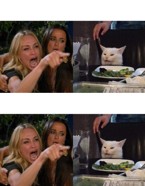 women yelling cat (dual) Blank Meme Template