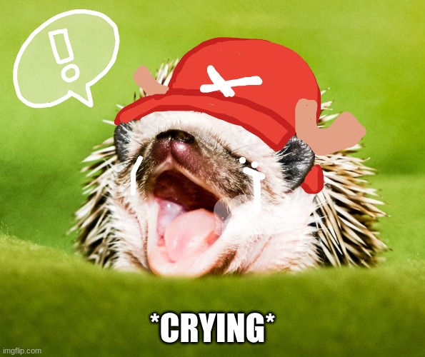 Chopper | *CRYING* | image tagged in funny,memes,onepiece | made w/ Imgflip meme maker