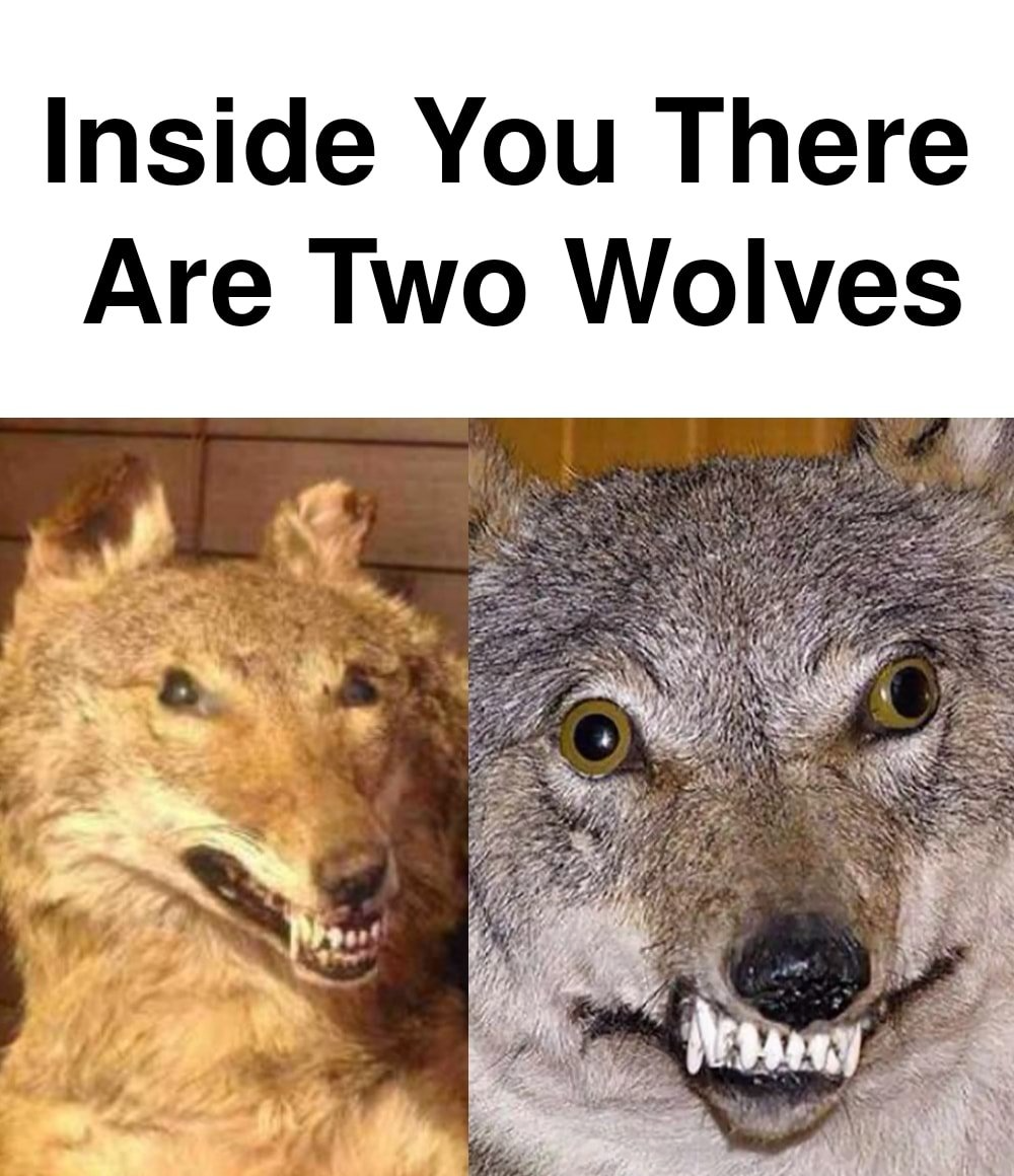 Inside you there are two derp wolves Blank Meme Template