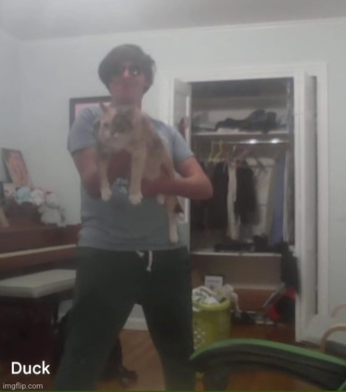 Ducc image 1 | image tagged in ducc with a cat shotgun lmao | made w/ Imgflip meme maker
