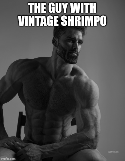 Lol | THE GUY WITH VINTAGE SHRIMPO | image tagged in giga chad | made w/ Imgflip meme maker