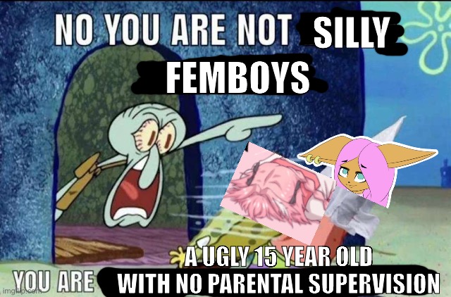 I am bored | SILLY; FEMBOYS; A UGLY 15 YEAR OLD WITH NO PARENTAL SUPERVISION | made w/ Imgflip meme maker