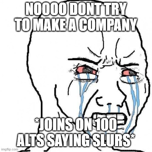 crying face | NOOOO DONT TRY TO MAKE A COMPANY; *JOINS ON 100 ALTS SAYING SLURS* | image tagged in crying face | made w/ Imgflip meme maker