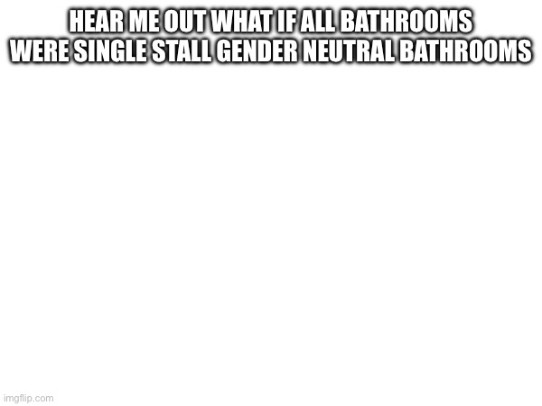 HEAR ME OUT WHAT IF ALL BATHROOMS WERE SINGLE STALL GENDER NEUTRAL BATHROOMS | made w/ Imgflip meme maker