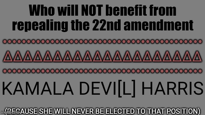 Blank grey | Who will NOT benefit from repealing the 22nd amendment (BECAUSE SHE WILL NEVER BE ELECTED TO THAT POSITION) •••••••••••••••••••••••••••••••• | image tagged in blank grey | made w/ Imgflip meme maker