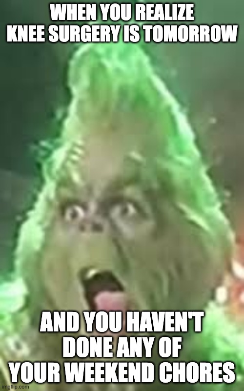 ai lol (i edited it) | WHEN YOU REALIZE KNEE SURGERY IS TOMORROW; AND YOU HAVEN'T DONE ANY OF YOUR WEEKEND CHORES | image tagged in shocked grinch,memes,funny,blue grinch,knee surgery | made w/ Imgflip meme maker