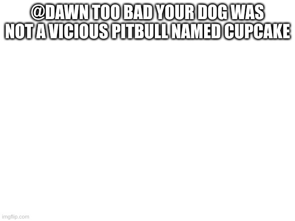 @DAWN TOO BAD YOUR DOG WAS NOT A VICIOUS PITBULL NAMED CUPCAKE | made w/ Imgflip meme maker