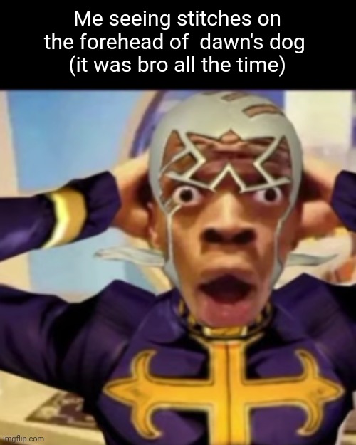 (I am bro) | Me seeing stitches on the forehead of  dawn's dog 
(it was bro all the time) | image tagged in pucci in shock | made w/ Imgflip meme maker