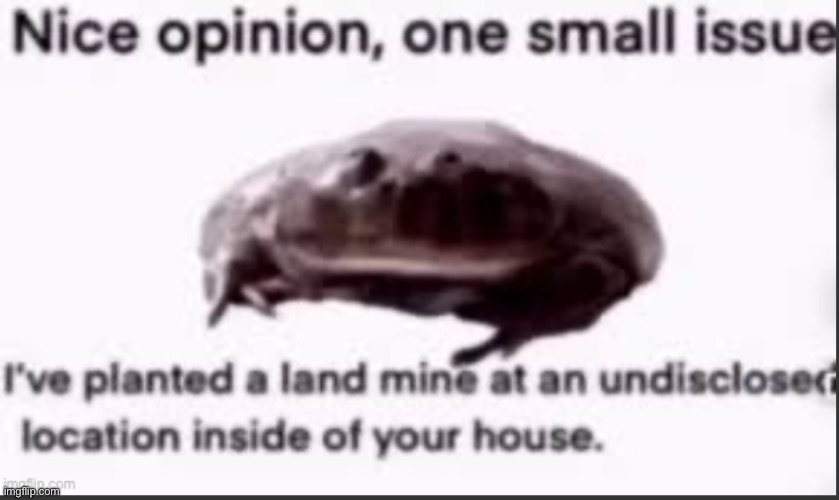 Nice opinion, one small issue | image tagged in nice opinion one small issue | made w/ Imgflip meme maker