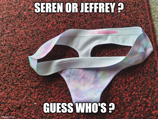 Post your guess... | SEREN OR JEFFREY ? GUESS WHO'S ? | image tagged in wednesday panty | made w/ Imgflip meme maker