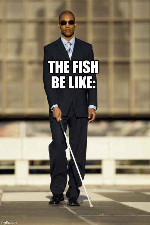 THE FISH BE LIKE: | image tagged in blindman | made w/ Imgflip meme maker