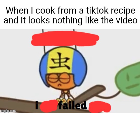 I need to find better advice on cooking | When I cook from a tiktok recipe and it looks nothing like the video | image tagged in i have sorry i am failed you,cooking | made w/ Imgflip meme maker