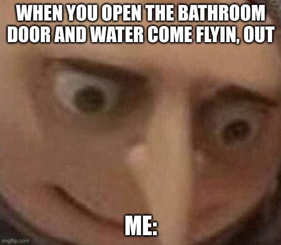 gru | WHEN YOU OPEN THE BATHROOM DOOR AND WATER COME FLYIN, OUT; ME: | image tagged in gru | made w/ Imgflip meme maker