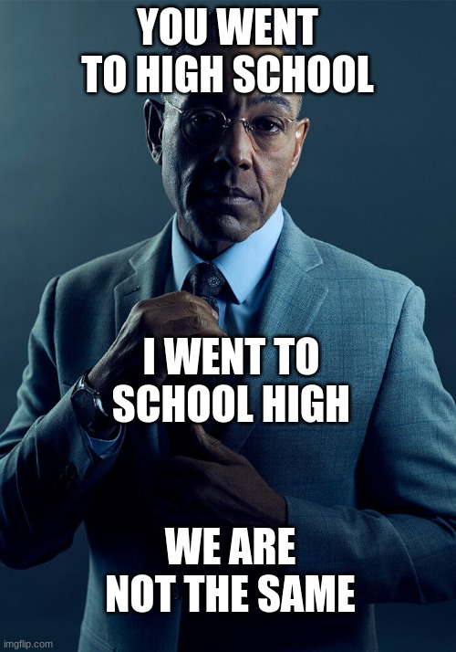 Gus Fring we are not the same | YOU WENT TO HIGH SCHOOL; I WENT TO SCHOOL HIGH; WE ARE NOT THE SAME | image tagged in gus fring we are not the same | made w/ Imgflip meme maker