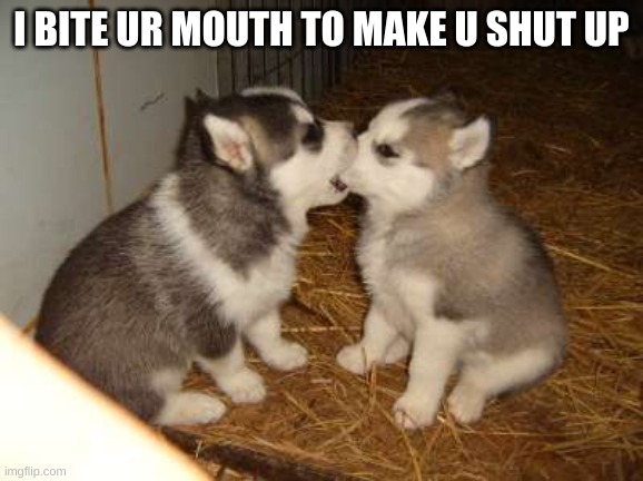 Cute Puppies Meme | I BITE UR MOUTH TO MAKE U SHUT UP | image tagged in memes,cute puppies | made w/ Imgflip meme maker