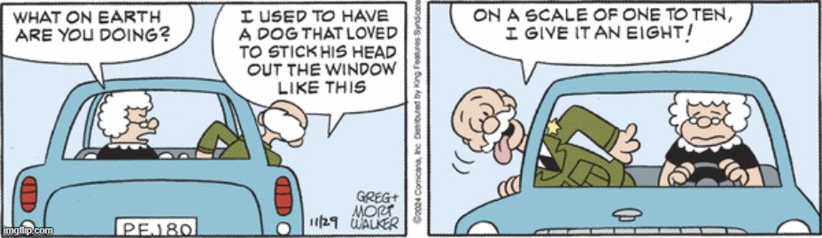 Beetle Bailey | image tagged in comics | made w/ Imgflip meme maker