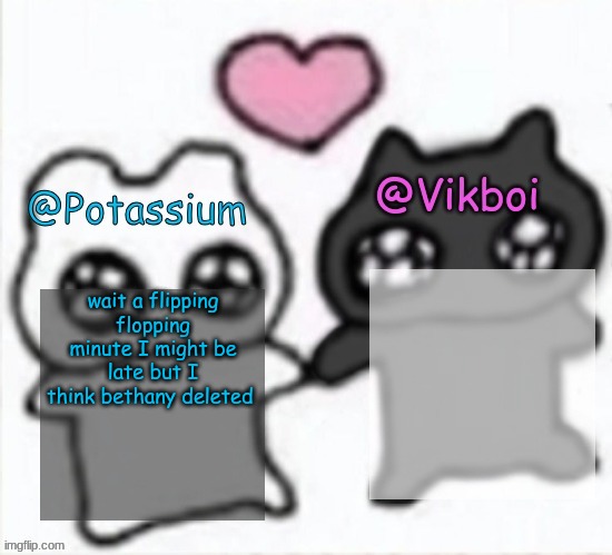 wait a flipping flopping minute I might be late but I think bethany deleted | image tagged in potassium and vikboi shared announcement template | made w/ Imgflip meme maker