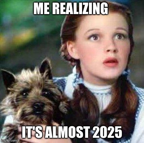 dorothy | ME REALIZING; IT'S ALMOST 2025 | image tagged in dorothy | made w/ Imgflip meme maker