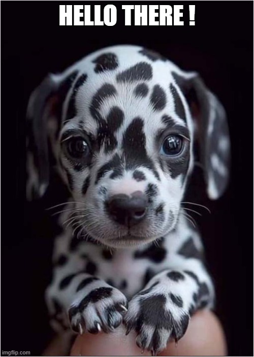 The Spottiest Dog You Ever Did See ! | HELLO THERE ! | image tagged in dogs,puppy,spotty,hello there | made w/ Imgflip meme maker