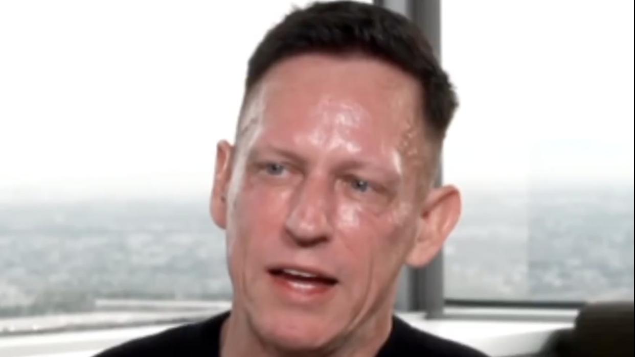 Peter Thiel wet Blank Meme Template