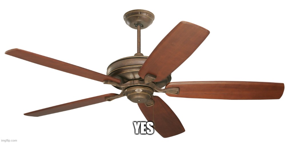 Ceiling fan | YES | image tagged in ceiling fan | made w/ Imgflip meme maker