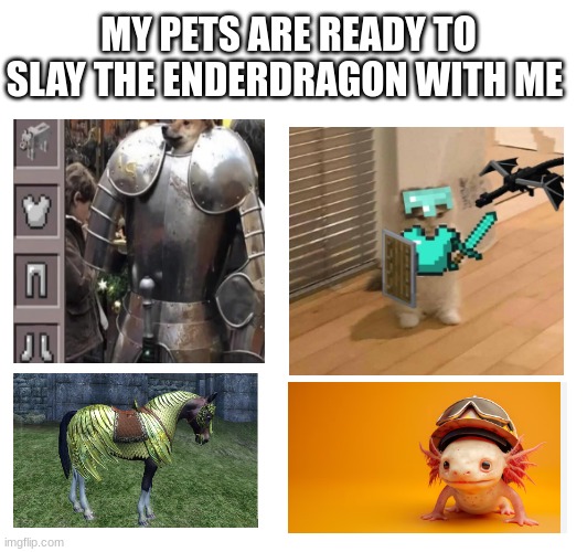 Minecraft lol | MY PETS ARE READY TO SLAY THE ENDERDRAGON WITH ME | image tagged in memes,minecraft,cats,minecraft movie | made w/ Imgflip meme maker