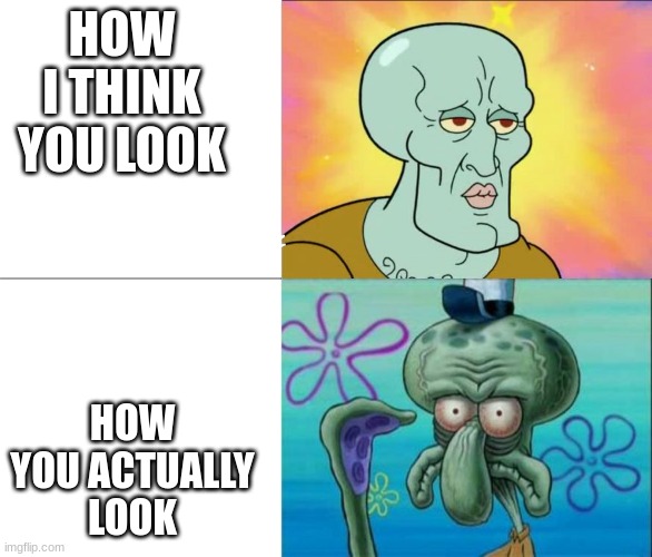 Handsome Squidward vs Ugly Squidward | HOW I THINK YOU LOOK; HOW YOU ACTUALLY LOOK | image tagged in handsome squidward vs ugly squidward | made w/ Imgflip meme maker