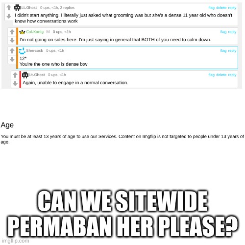 CAN WE SITEWIDE PERMABAN HER PLEASE? | made w/ Imgflip meme maker