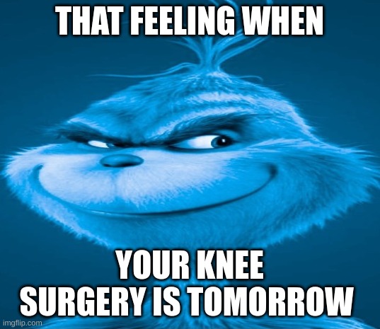 Blue Grinch | THAT FEELING WHEN; YOUR KNEE SURGERY IS TOMORROW | image tagged in blue grinch | made w/ Imgflip meme maker