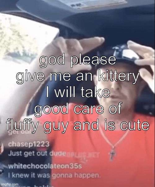 god please give me an kittery I will take good care of fluffy guy and is cute | made w/ Imgflip meme maker