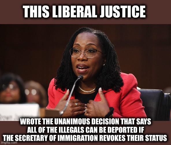 Bye Bye Illegal Invaders | THIS LIBERAL JUSTICE; WROTE THE UNANIMOUS DECISION THAT SAYS ALL OF THE ILLEGALS CAN BE DEPORTED IF THE SECRETARY OF IMMIGRATION REVOKES THEIR STATUS | image tagged in ketanji brown jackson,illegal immigration,immigration,supreme court | made w/ Imgflip meme maker