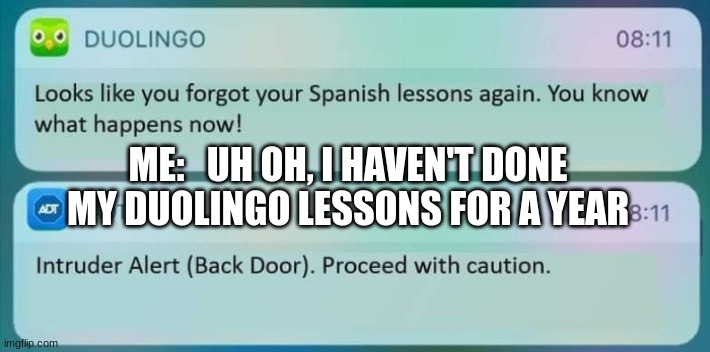 Duolingo notification oh crap | ME:   UH OH, I HAVEN'T DONE MY DUOLINGO LESSONS FOR A YEAR | image tagged in duolingo notification oh crap,funny memes,so true memes,memes,dank memes | made w/ Imgflip meme maker