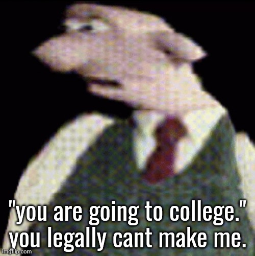 whauhauhauhhgajrheha7hahhuh.??. | "you are going to college." you legally cant make me. | image tagged in whauhauhauhhgajrheha7hahhuh | made w/ Imgflip meme maker