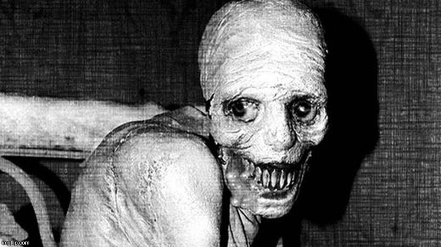 image tagged in russian sleep experiment | made w/ Imgflip meme maker