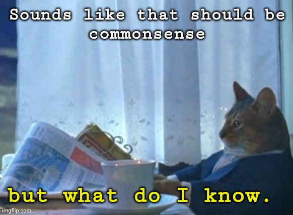 Cat newspaper | Sounds like that should be
 commonsense but what do I know. | image tagged in cat newspaper | made w/ Imgflip meme maker