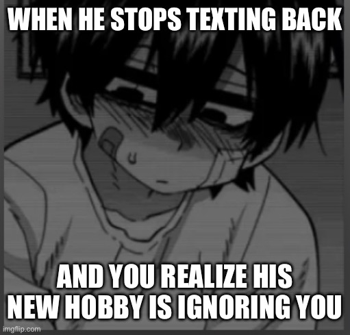 WHEN HE STOPS TEXTING BACK; AND YOU REALIZE HIS NEW HOBBY IS IGNORING YOU | image tagged in idk | made w/ Imgflip meme maker