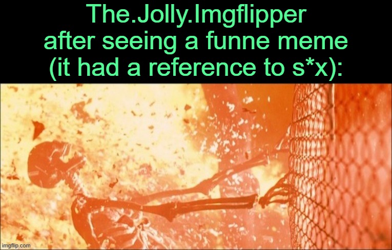 . | The.Jolly.Imgflipper after seeing a funne meme (it had a reference to s*x): | made w/ Imgflip meme maker