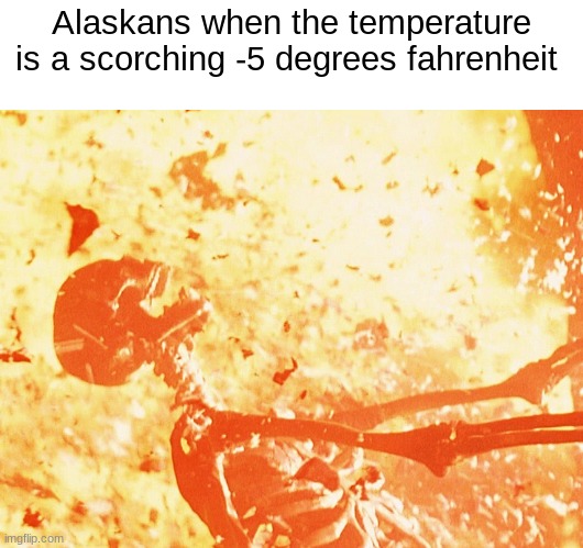 Fire skeleton | Alaskans when the temperature is a scorching -5 degrees fahrenheit | image tagged in fire skeleton | made w/ Imgflip meme maker