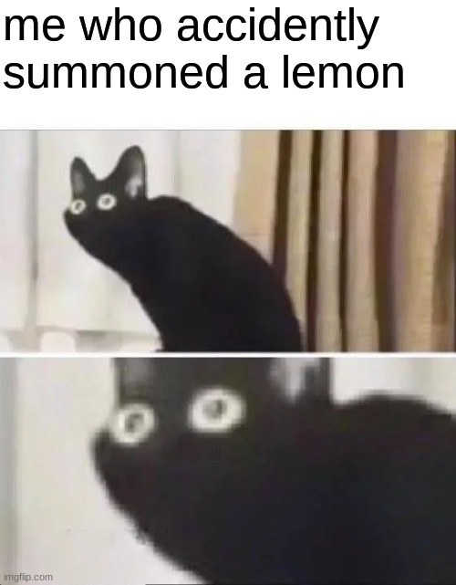 Oh No Black Cat | me who accidently summoned a lemon | image tagged in oh no black cat | made w/ Imgflip meme maker