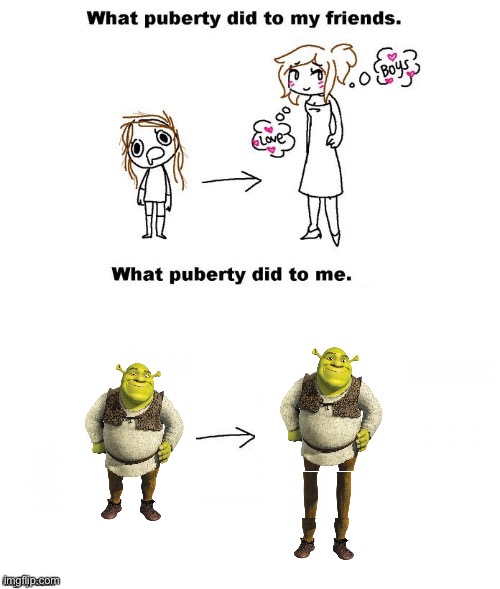 What puberty did to me  | image tagged in what puberty did to me,msmg | made w/ Imgflip meme maker