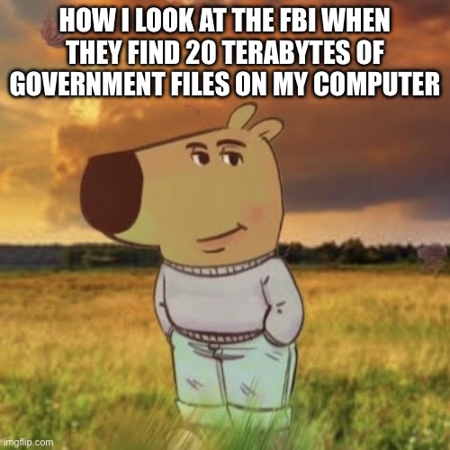 Dmdm | HOW I LOOK AT THE FBI WHEN THEY FIND 20 TERABYTES OF GOVERNMENT FILES ON MY COMPUTER | image tagged in chill guy | made w/ Imgflip meme maker