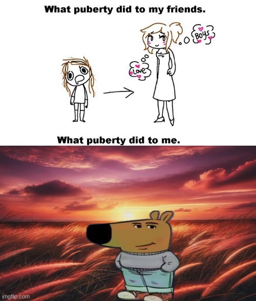 What puberty did to me  | image tagged in what puberty did to me | made w/ Imgflip meme maker