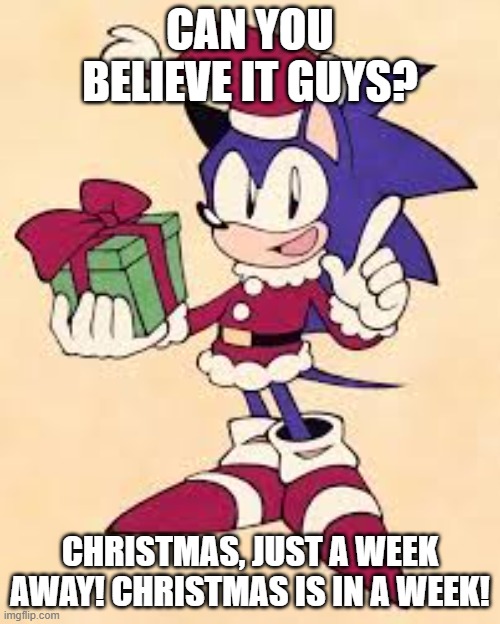 yup | CAN YOU BELIEVE IT GUYS? CHRISTMAS, JUST A WEEK AWAY! CHRISTMAS IS IN A WEEK! | image tagged in sonic the hedgehog,christmas | made w/ Imgflip meme maker