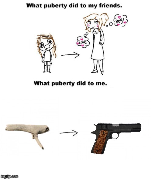 Anyone agree? | image tagged in what puberty did to me | made w/ Imgflip meme maker