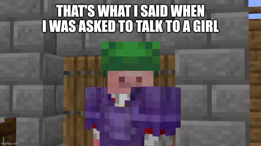 Technoblade Sees All | THAT'S WHAT I SAID WHEN I WAS ASKED TO TALK TO A GIRL | image tagged in technoblade sees all | made w/ Imgflip meme maker