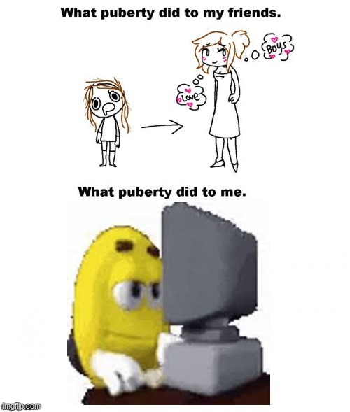 What puberty did to me  | image tagged in what puberty did to me | made w/ Imgflip meme maker