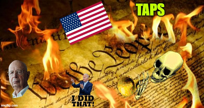 Constitution In Flames | TAPS | image tagged in constitution in flames | made w/ Imgflip meme maker